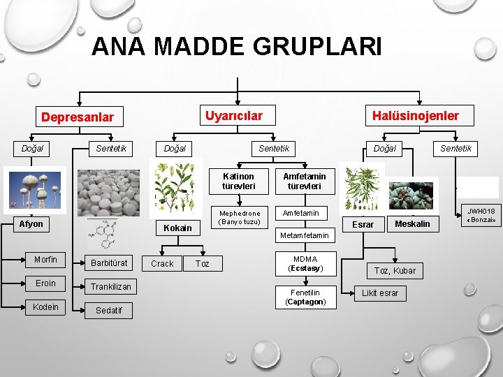 ANA MADDE GRUPLARI Uyarıcılar Depresanlar Doğal Sentetik Katinon türevleri Afyon Morfin Eroin Kodein Kokain ANA MADDE GRUPLARI Uyarıcılar Depresanlar Doğal Sentetik Katinon türevleri Afyon Morfin Eroin Kodein Kokain