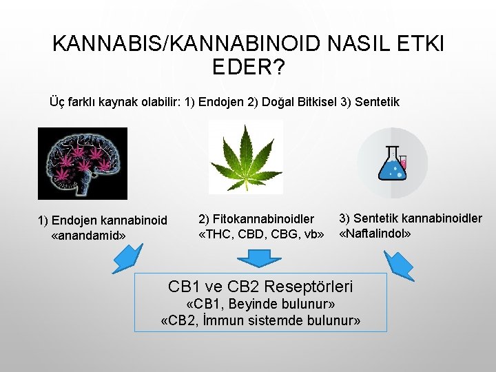 KANNABIS/KANNABINOID NASIL ETKI EDER? Üç farklı kaynak olabilir: 1) Endojen 2) Doğal Bitkisel 3) KANNABIS/KANNABINOID NASIL ETKI EDER? Üç farklı kaynak olabilir: 1) Endojen 2) Doğal Bitkisel 3)
