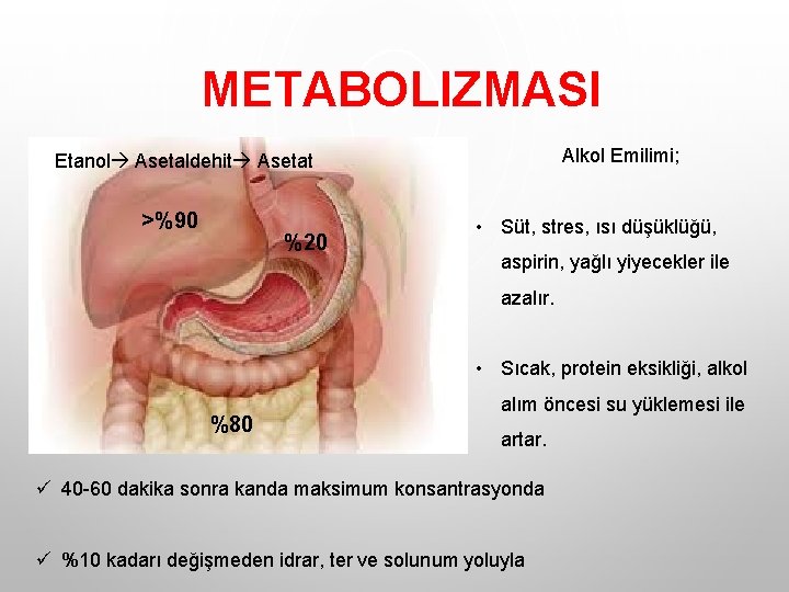 METABOLIZMASI Alkol Emilimi; Etanol Asetaldehit Asetat >%90 %20 • Süt, stres, ısı düşüklüğü, aspirin, METABOLIZMASI Alkol Emilimi; Etanol Asetaldehit Asetat >%90 %20 • Süt, stres, ısı düşüklüğü, aspirin,