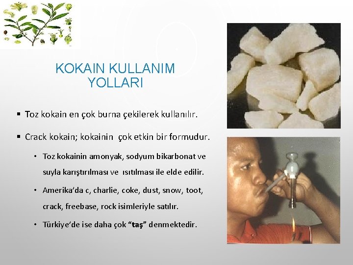 KOKAIN KULLANIM YOLLARI § Toz kokain en çok burna çekilerek kullanılır. § Crack kokain; KOKAIN KULLANIM YOLLARI § Toz kokain en çok burna çekilerek kullanılır. § Crack kokain;