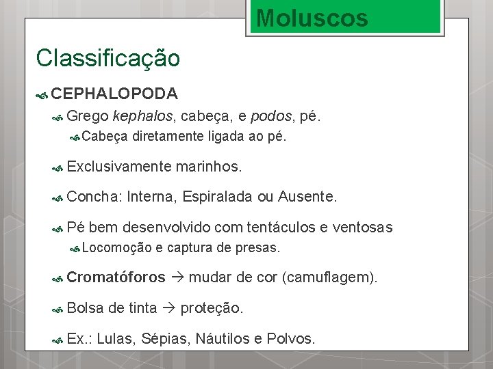 Moluscos Classificação CEPHALOPODA Grego kephalos, cabeça, e podos, pé. Cabeça diretamente ligada ao pé.