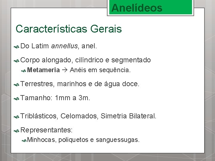 Anelídeos Características Gerais Do Latim annellus, anel. Corpo alongado, cilíndrico e segmentado Metameria Terrestres,