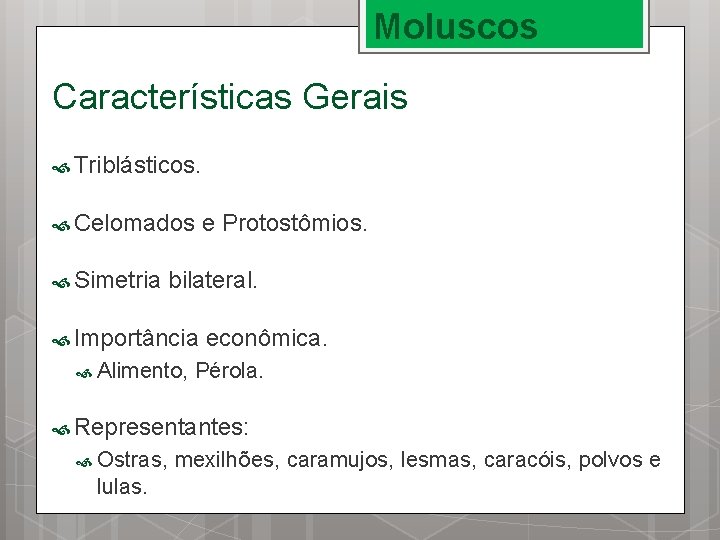 Moluscos Características Gerais Triblásticos. Celomados Simetria e Protostômios. bilateral. Importância Alimento, econômica. Pérola. Representantes: