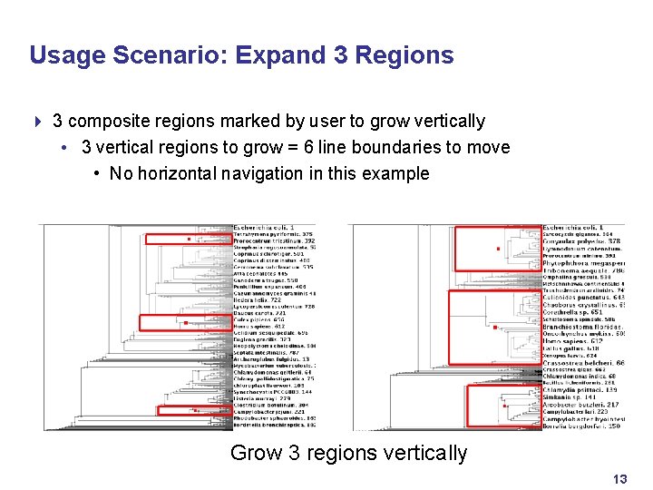 Usage Scenario: Expand 3 Regions 4 3 composite regions marked by user to grow