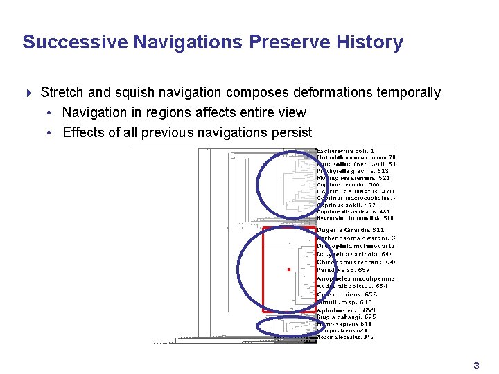 Successive Navigations Preserve History 4 Stretch and squish navigation composes deformations temporally • Navigation