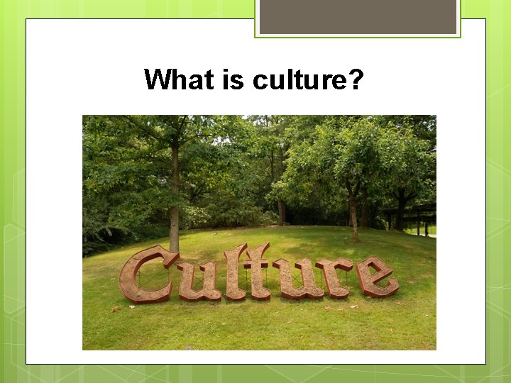 What is culture? 