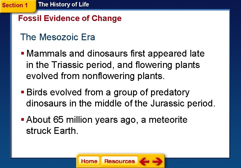 Section 1 The History of Life Fossil Evidence of Change The Mesozoic Era §