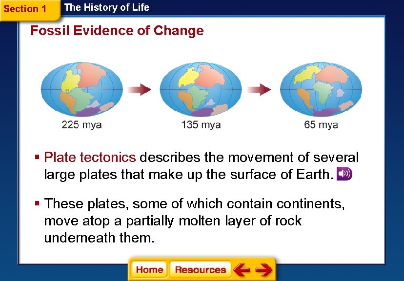 Section 1 The History of Life Fossil Evidence of Change § Plate tectonics describes