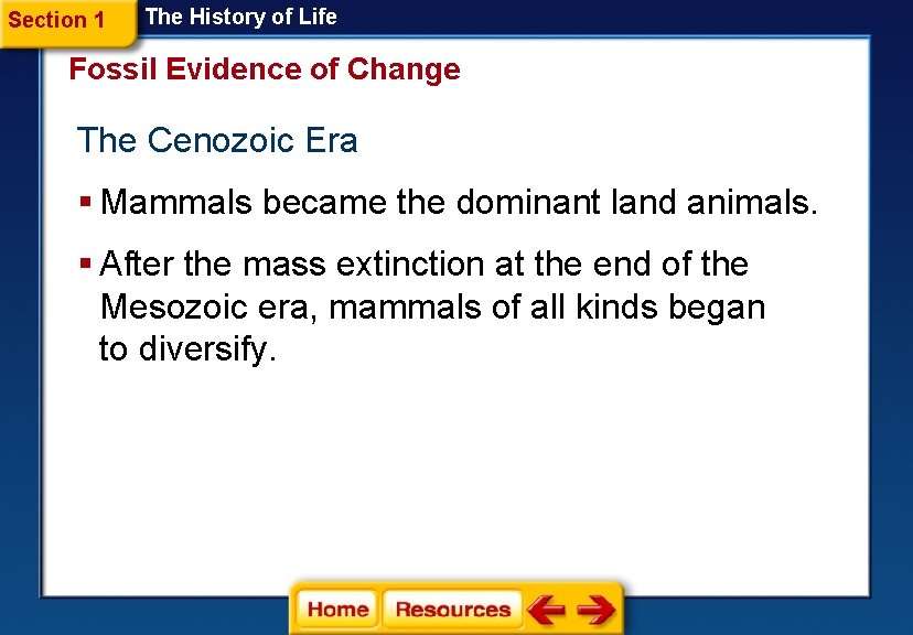 Section 1 The History of Life Fossil Evidence of Change The Cenozoic Era §