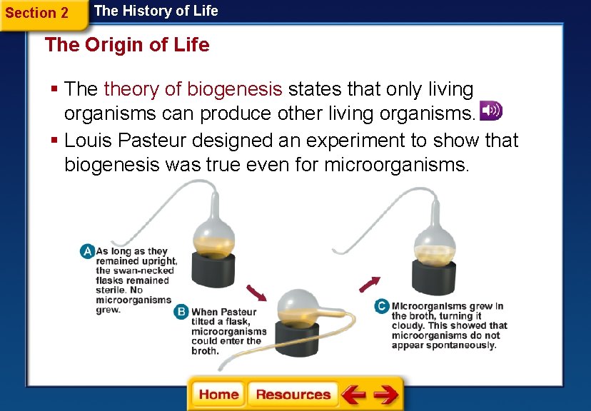 Section 2 The History of Life The Origin of Life § The theory of