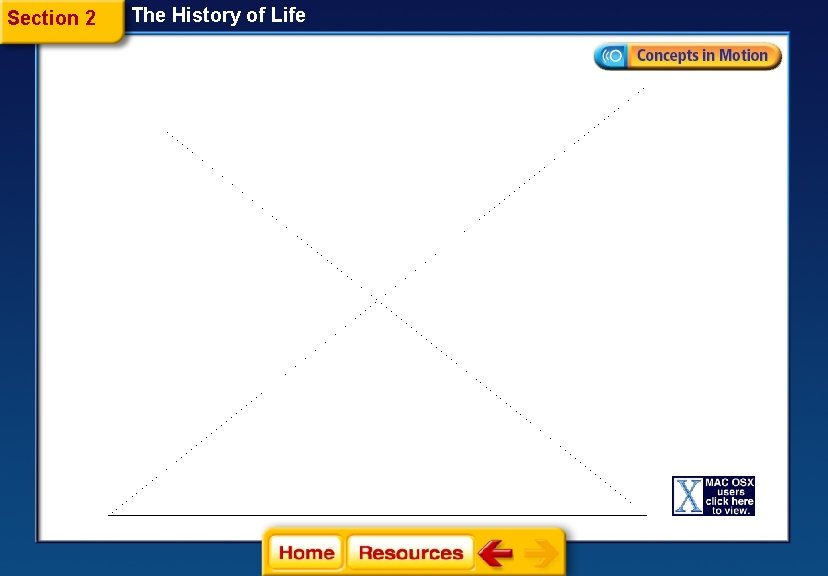 Section 2 The History of Life 