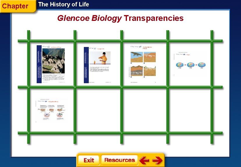 Chapter The History of Life Glencoe Biology Transparencies 