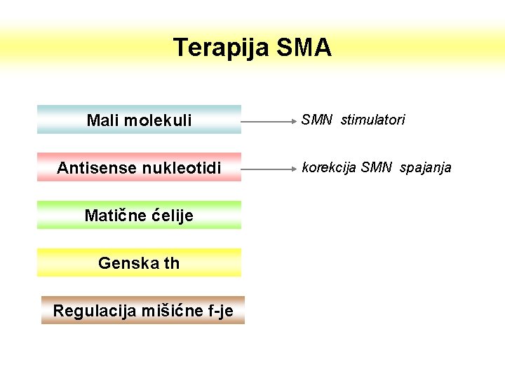Terapija SMA Mali molekuli Antisense nukleotidi Matične ćelije Genska th Regulacija mišićne f-je SMN