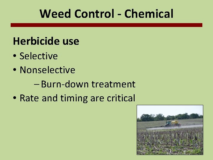 Weed Control - Chemical Herbicide use • Selective • Nonselective – Burn-down treatment •