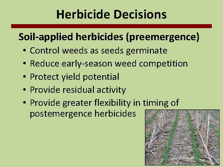 Herbicide Decisions Soil-applied herbicides (preemergence) • • • Control weeds as seeds germinate Reduce