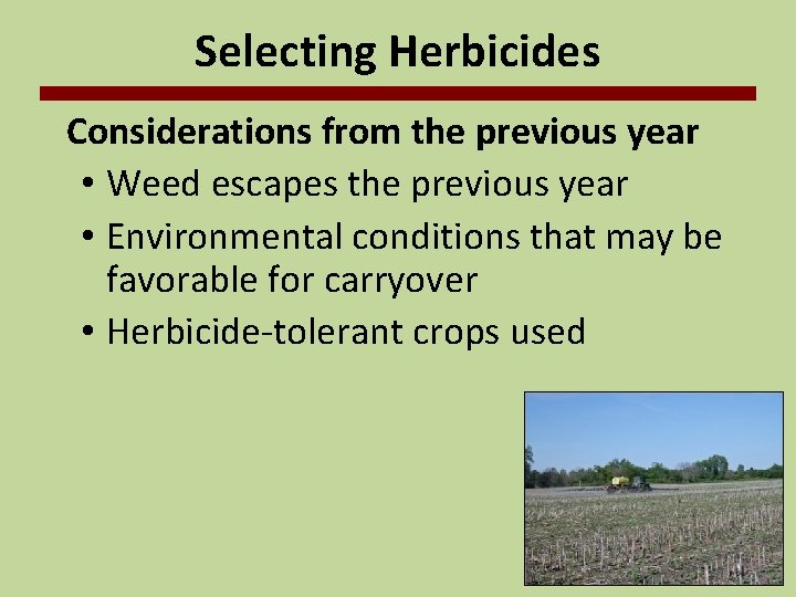 Selecting Herbicides Considerations from the previous year • Weed escapes the previous year •