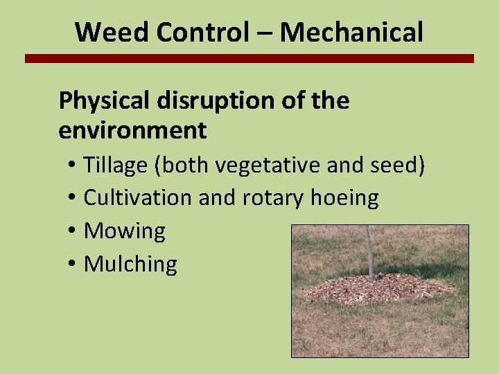 Weed Control – Mechanical Physical disruption of the environment • Tillage (both vegetative and