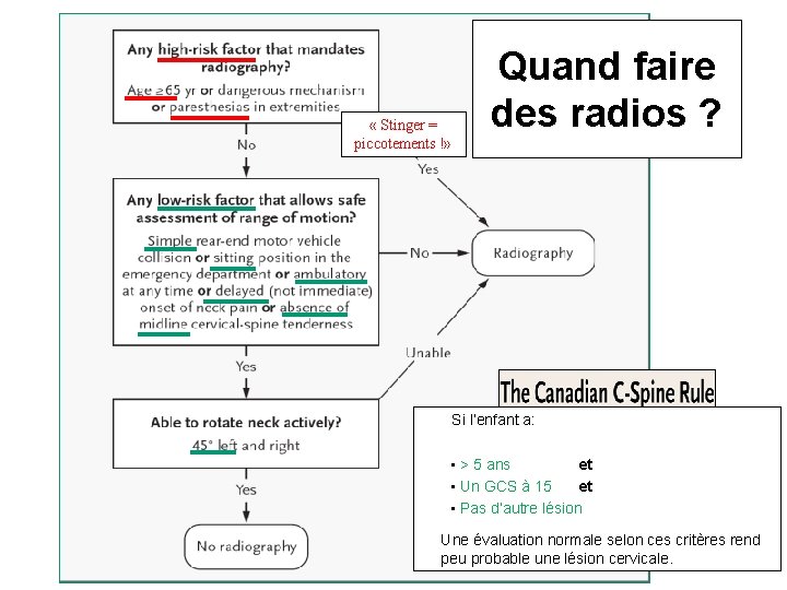 Bilan radiologique « Stinger = piccotements !» • • • Quand faire des radios