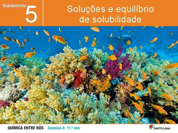 5 Subdomínio Unidade Soluções e equilíbrio de solubilidade 