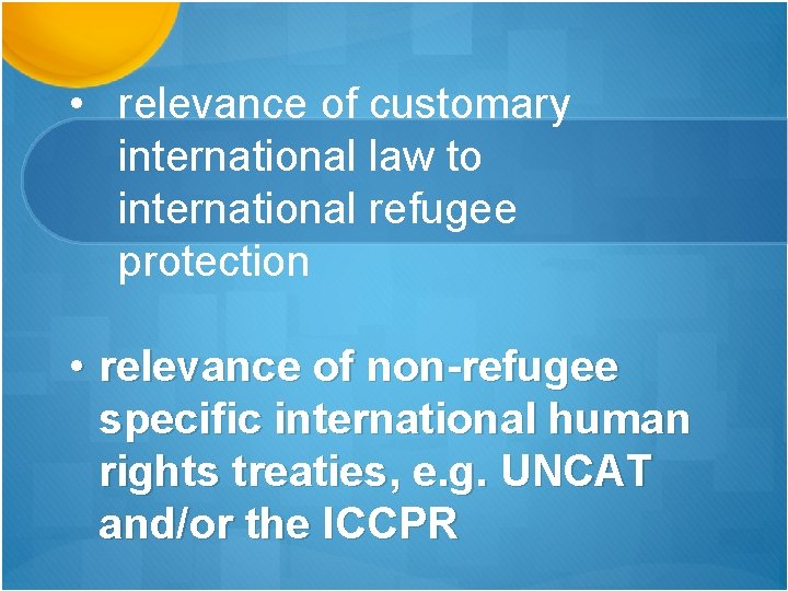  • relevance of customary international law to international refugee protection • relevance of