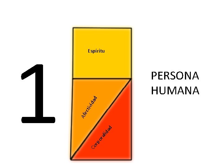 ali da d or rp Co Afe ad cti vid 1 Espíritu PERSONA HUMANA ali da d or rp Co Afe ad cti vid 1 Espíritu PERSONA HUMANA