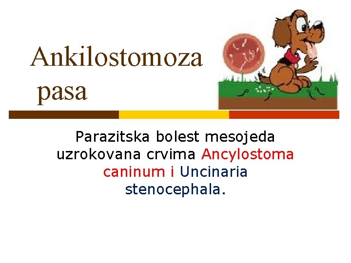 Ankilostomoza pasa Parazitska bolest mesojeda uzrokovana crvima Ancylostoma caninum i Uncinaria stenocephala. 