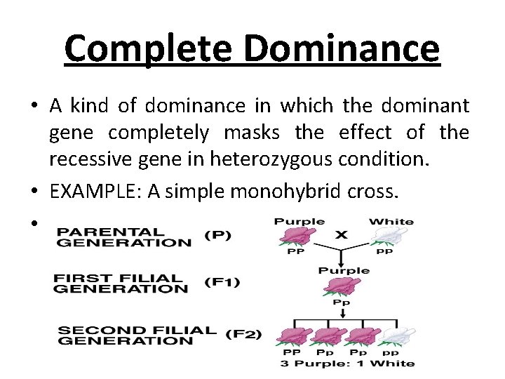 Complete Dominance • A kind of dominance in which the dominant gene completely masks