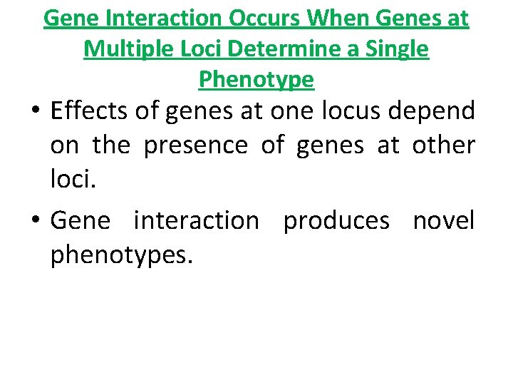 Gene Interaction Occurs When Genes at Multiple Loci Determine a Single Phenotype • Effects