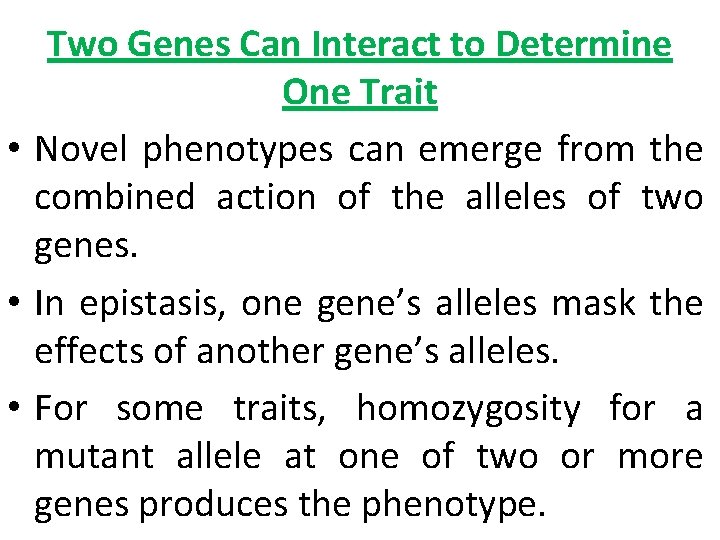 Two Genes Can Interact to Determine One Trait • Novel phenotypes can emerge from