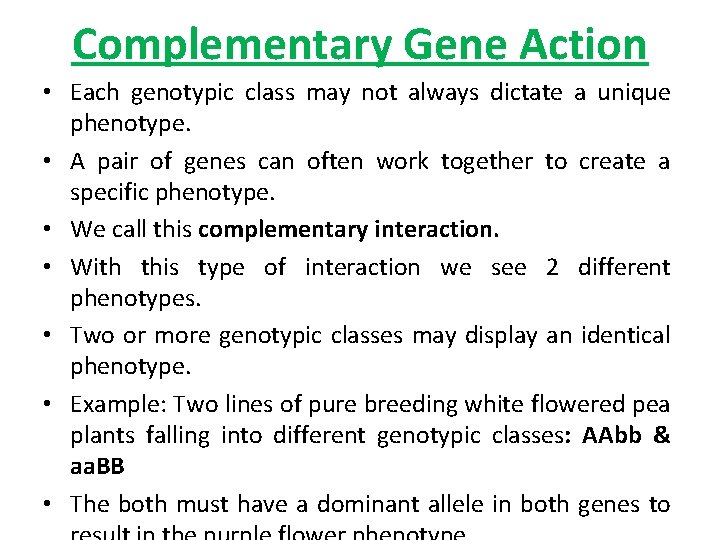 Complementary Gene Action • Each genotypic class may not always dictate a unique phenotype.