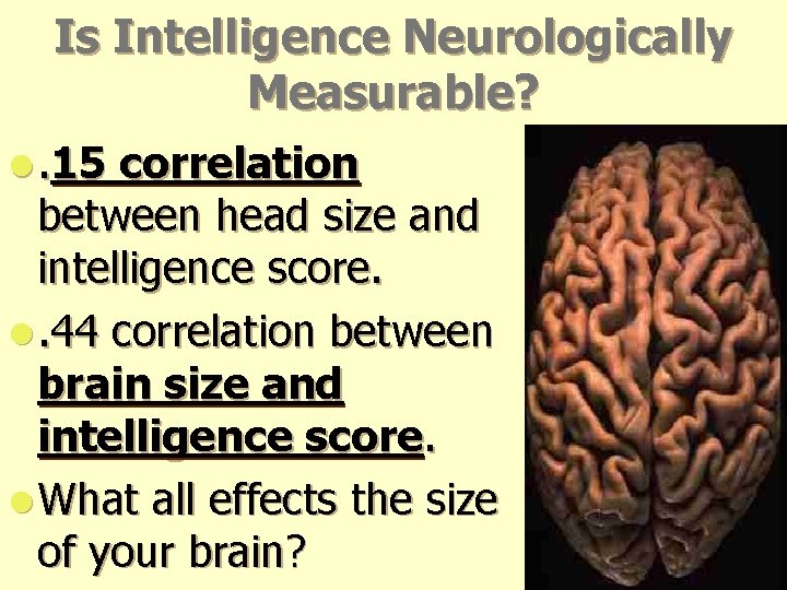 Is Intelligence Neurologically Measurable? l. 15 correlation between head size and intelligence score. l. Is Intelligence Neurologically Measurable? l. 15 correlation between head size and intelligence score. l.