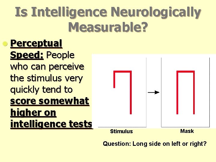 Is Intelligence Neurologically Measurable? l Perceptual Speed: People who can perceive the stimulus very Is Intelligence Neurologically Measurable? l Perceptual Speed: People who can perceive the stimulus very