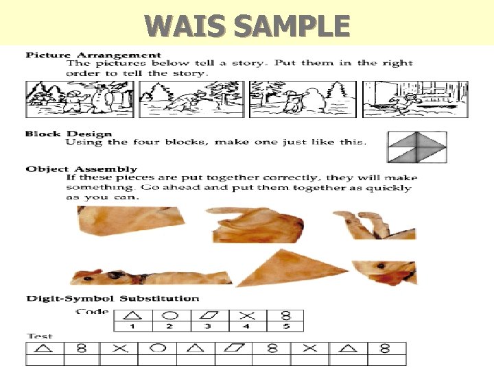 WAIS SAMPLE WAIS SAMPLE