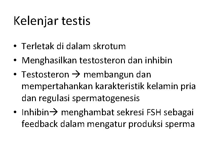 Kelenjar testis • Terletak di dalam skrotum • Menghasilkan testosteron dan inhibin • Testosteron