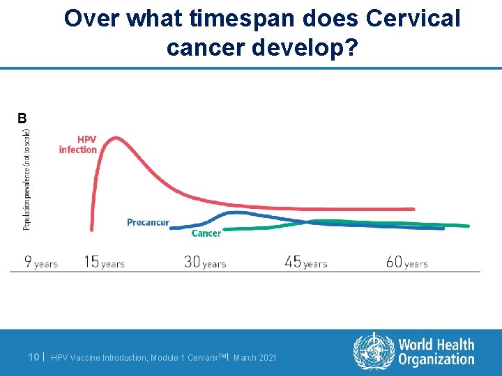 Over what timespan does Cervical cancer develop? 10 | HPV Vaccine Introduction, Module 1