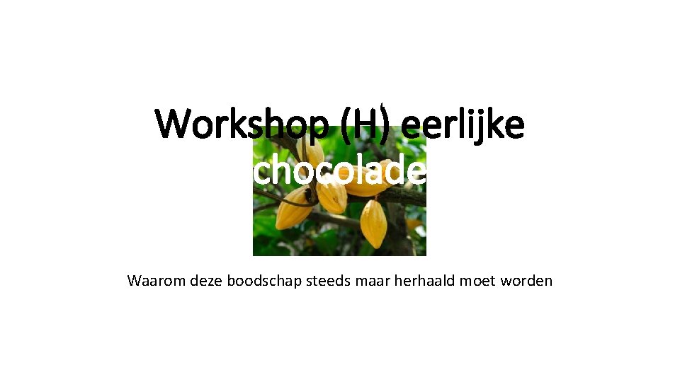 Workshop (H) eerlijke chocolade Waarom deze boodschap steeds maar herhaald moet worden 