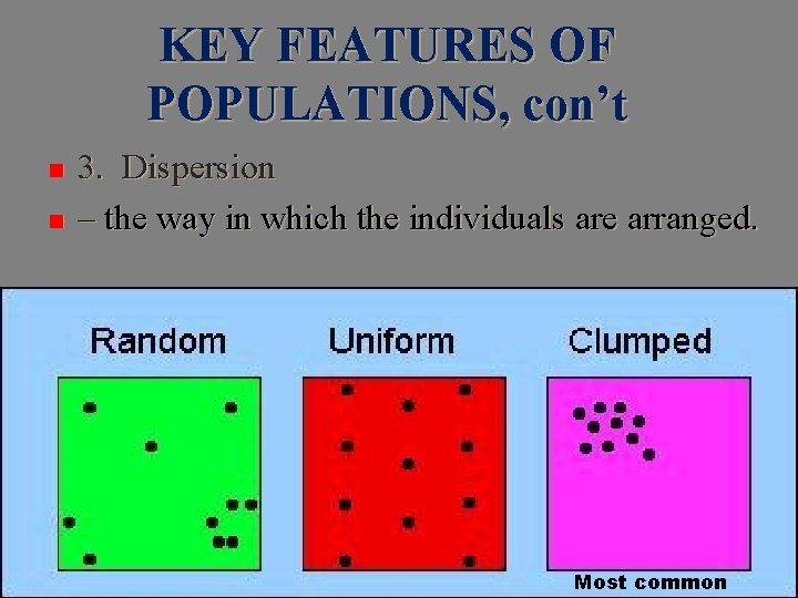 KEY FEATURES OF POPULATIONS, con’t n n 3. Dispersion – the way in which