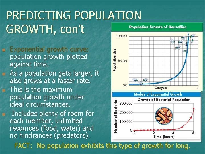 PREDICTING POPULATION GROWTH, con’t n n Exponential growth curve: population growth plotted against time.