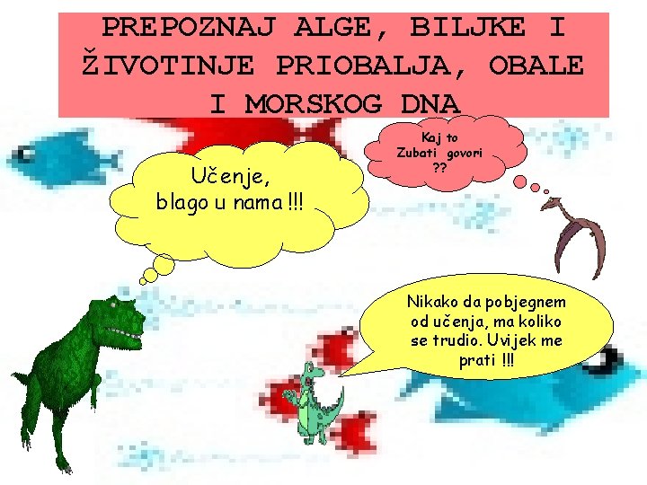 PREPOZNAJ ALGE, BILJKE I ŽIVOTINJE PRIOBALJA, OBALE I MORSKOG DNA Učenje, blago u nama