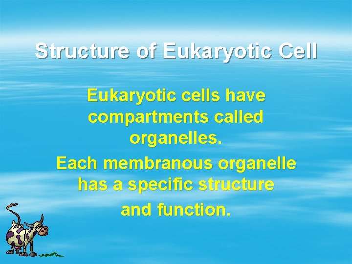 Structure of Eukaryotic Cell Eukaryotic cells have compartments called organelles. Each membranous organelle has