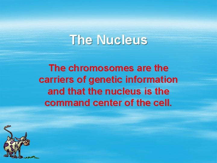 The Nucleus The chromosomes are the carriers of genetic information and that the nucleus