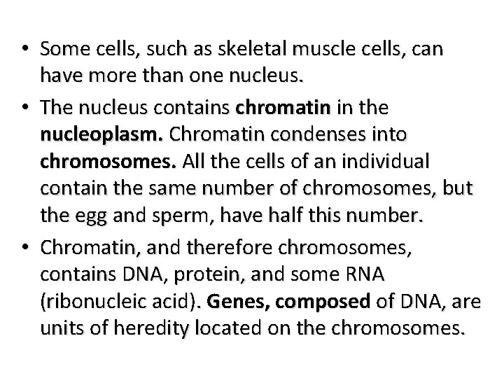  • Some cells, such as skeletal muscle cells, can have more than one