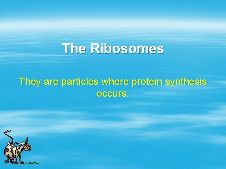 The Ribosomes They are particles where protein synthesis occurs. 