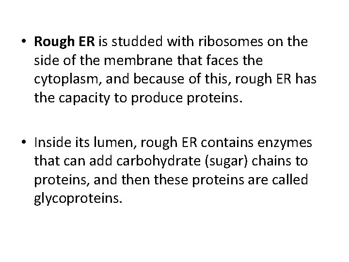  • Rough ER is studded with ribosomes on the side of the membrane