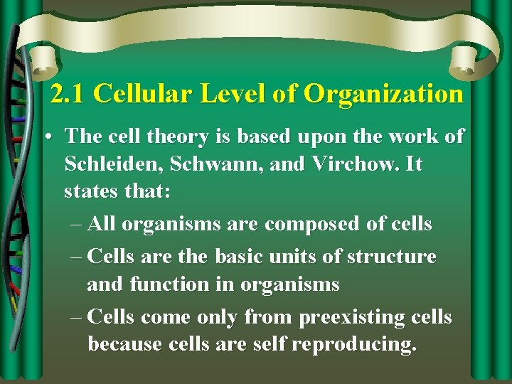 2. 1 Cellular Level of Organization • The cell theory is based upon the