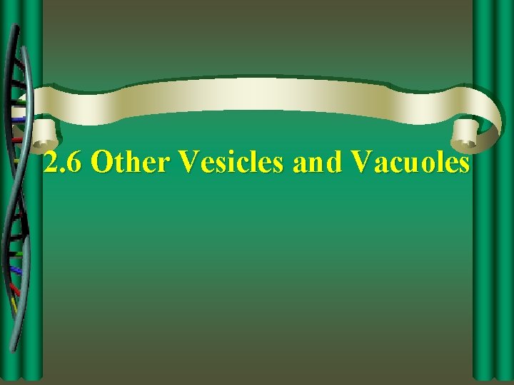 2. 6 Other Vesicles and Vacuoles 