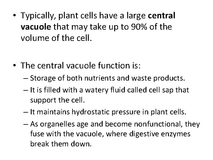  • Typically, plant cells have a large central vacuole that may take up