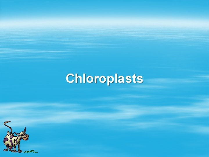 Chloroplasts 