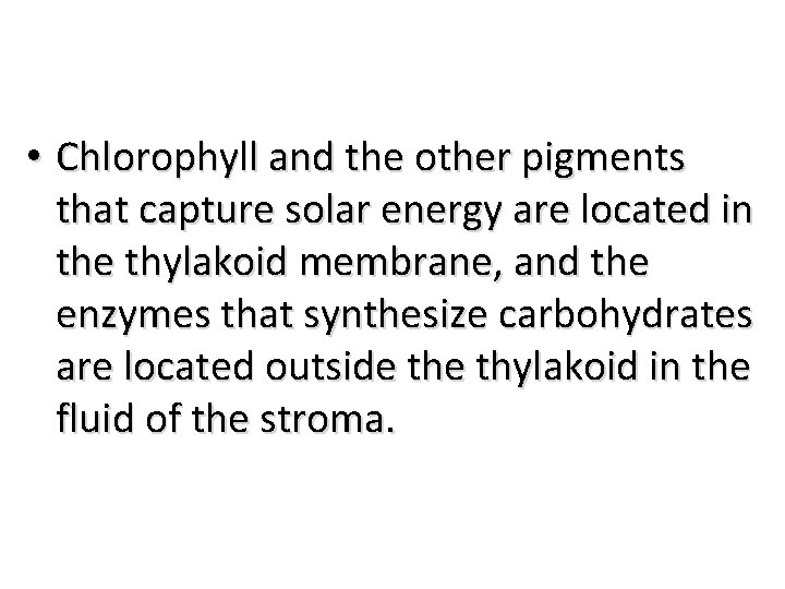  • Chlorophyll and the other pigments that capture solar energy are located in