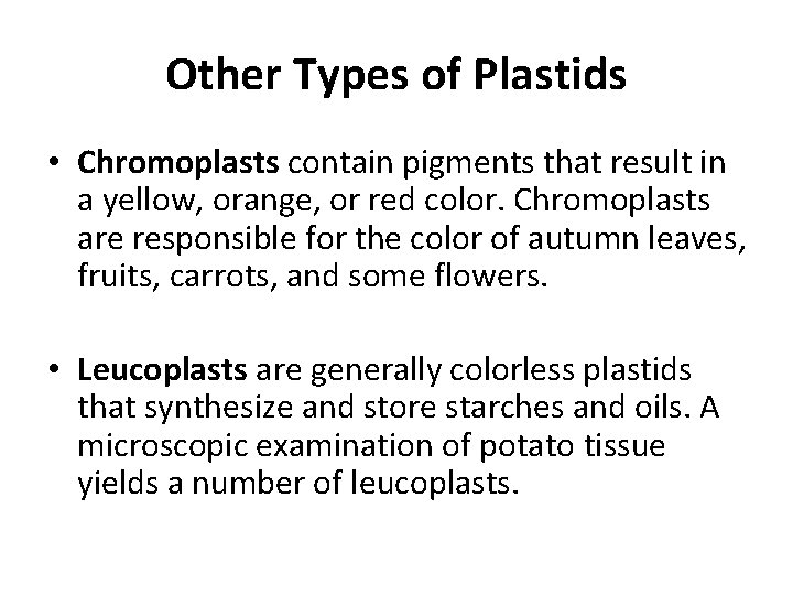 Other Types of Plastids • Chromoplasts contain pigments that result in a yellow, orange,